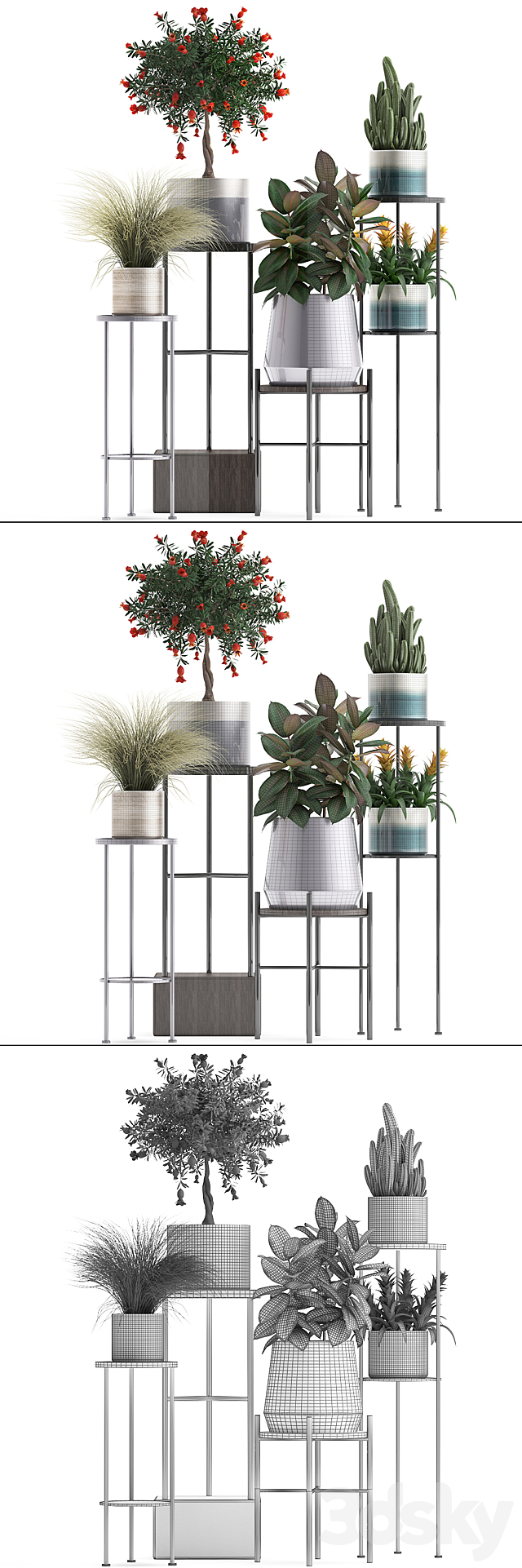 Plant collection 287. Shelf with flowers pomegranate ficus cactus grass bromeliad stand pot luxury ficus abidjan luxury 3DS Max Model - thumbnail 3