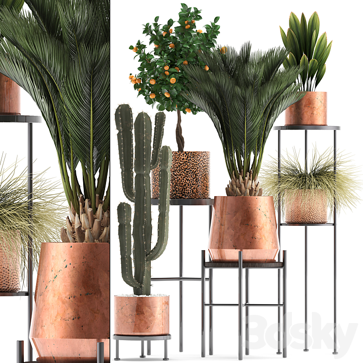 Plant collection 288.  Copper pot shelf with flowers stand cactus palm tree cicada copper tangerine flower bush interior metal loft cycas 3DS Max - thumbnail 1