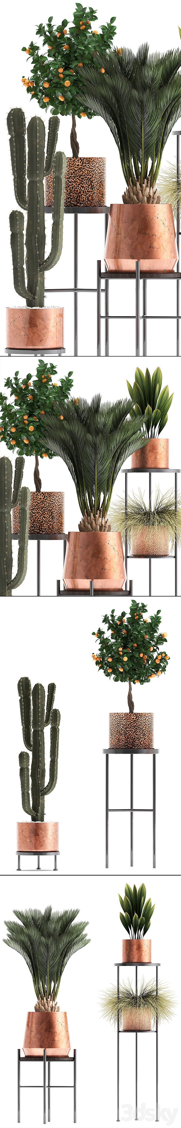 Plant collection 288.  Copper pot shelf with flowers stand cactus palm tree cicada copper tangerine flower bush interior metal loft cycas 3DS Max - thumbnail 2