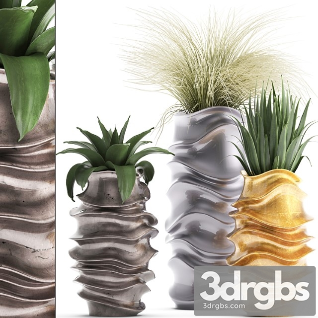 Plant collection 289. luxury flowerpot, pot, grass, agave, interior plants, luxury decor - thumbnail 1