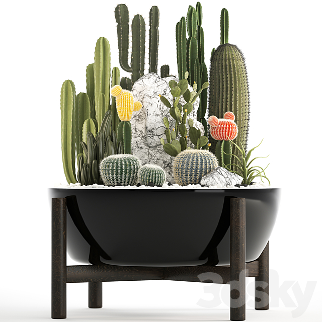 Plant collection 305. Cactus set cacti round cactus flower bed japanese cereus Barrel cactus desert plants Prickly pear 3DS Max Model - thumbnail 2