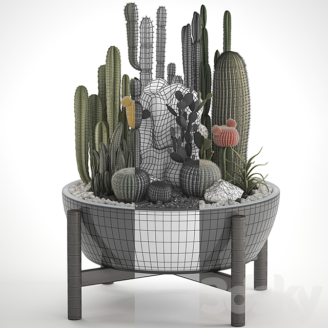 Plant collection 305. Cactus set cacti round cactus flower bed japanese cereus Barrel cactus desert plants Prickly pear 3DS Max Model - thumbnail 3