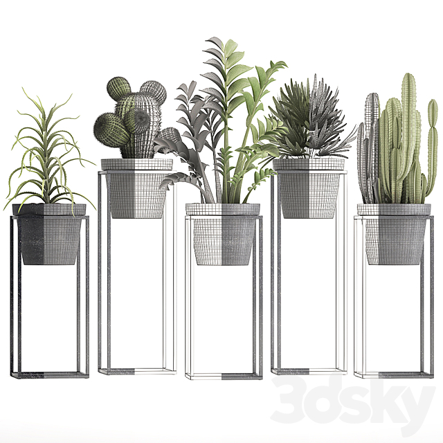 Plant collection 314. Small plants. pot. cactus. rapis. aloe. cireus. indoor. stand. concrete. pot. loft. Zamioculcas. Raphis Palm 3DSMax File - thumbnail 3