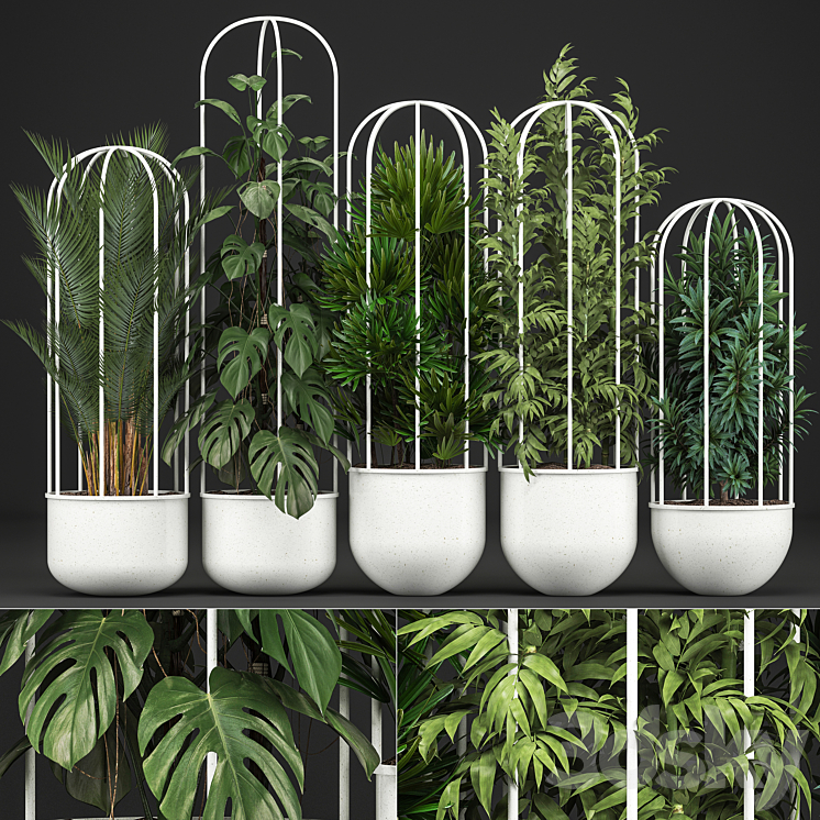 Plant collection 328. White pot flowerpot monstera bamboo dracaena palm tree indoor plants Scandinavian style metal flowerpot bushes thickets 3DS Max - thumbnail 1