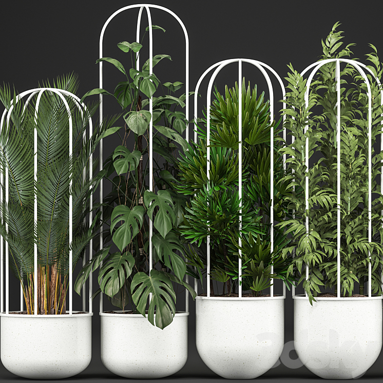 Plant collection 328. White pot flowerpot monstera bamboo dracaena palm tree indoor plants Scandinavian style metal flowerpot bushes thickets 3DS Max - thumbnail 2