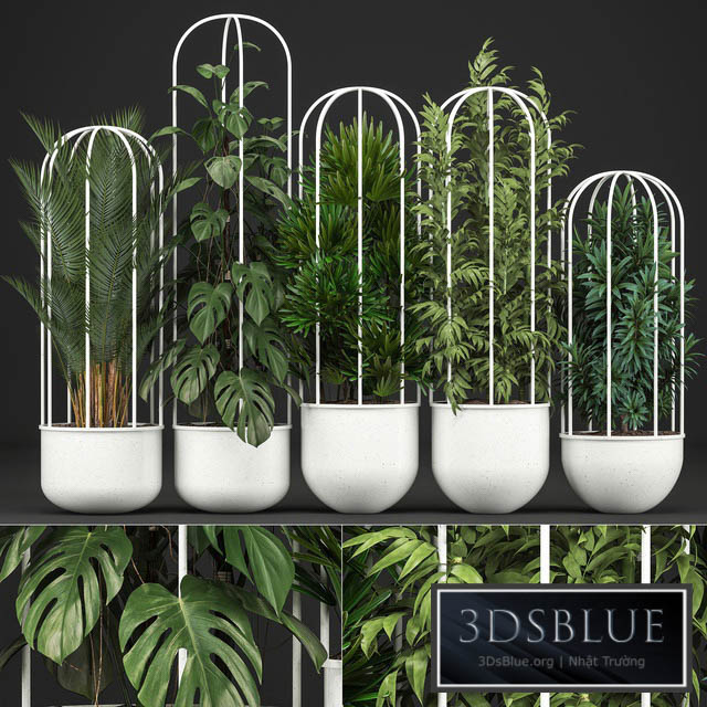 Plant collection 328. White pot flowerpot monstera bamboo dracaena palm tree indoor plants Scandinavian style metal flowerpot bushes thickets 3DS Max - thumbnail 3