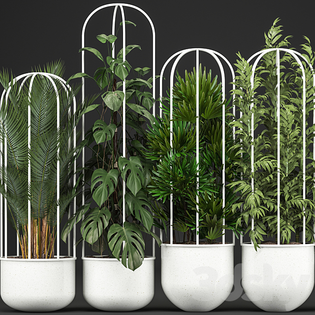 Plant collection 328. White pot. flowerpot. monstera. bamboo. dracaena. palm tree. indoor plants. Scandinavian style. metal flowerpot. bushes. thickets 3DSMax File - thumbnail 2