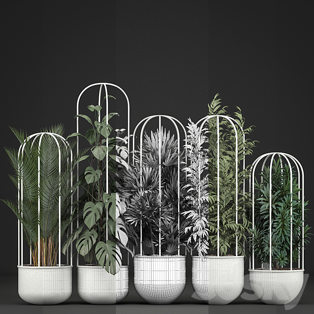 Plant collection 328. White pot. flowerpot. monstera. bamboo. dracaena. palm tree. indoor plants. Scandinavian style. metal flowerpot. bushes. thickets 3DSMax File - thumbnail 3