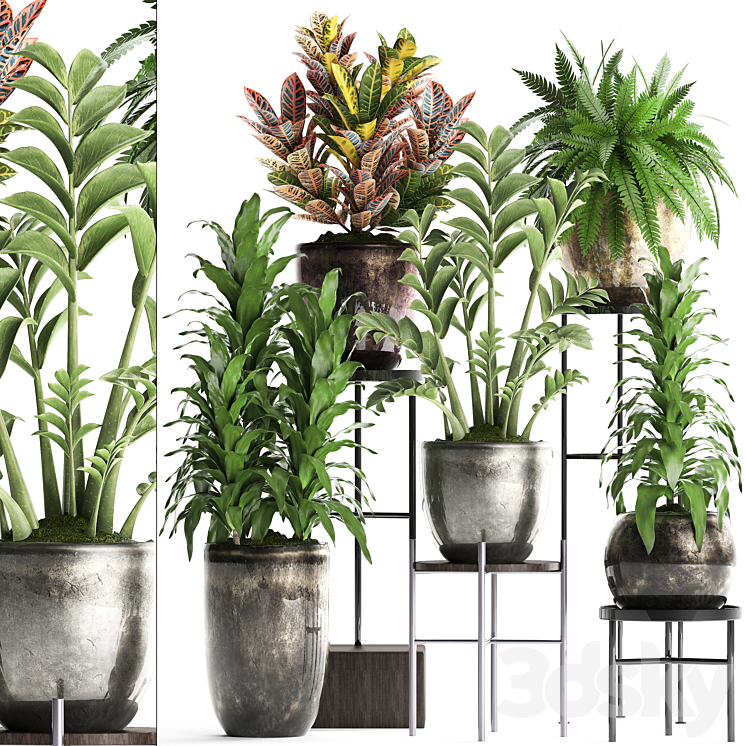 Plant Collection 362. luxury flowerpot croton fern Zamioculcas indoor plants luxury flowerpot flower stand interior 3DS Max - thumbnail 1