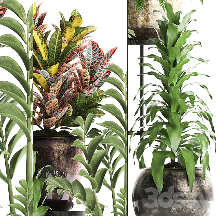 Plant Collection 362. luxury flowerpot croton fern Zamioculcas indoor plants luxury flowerpot flower stand interior 3DS Max - thumbnail 2