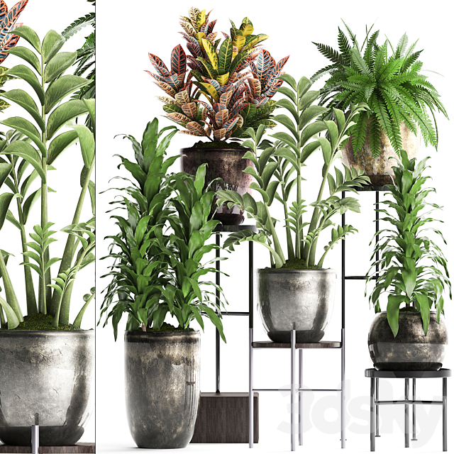 Plant Collection 362. luxury flowerpot. croton. fern. Zamioculcas. indoor plants. luxury flowerpot. flower stand. interior 3DSMax File - thumbnail 1