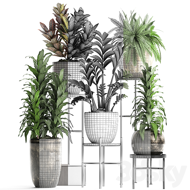 Plant Collection 362. luxury flowerpot. croton. fern. Zamioculcas. indoor plants. luxury flowerpot. flower stand. interior 3DSMax File - thumbnail 3