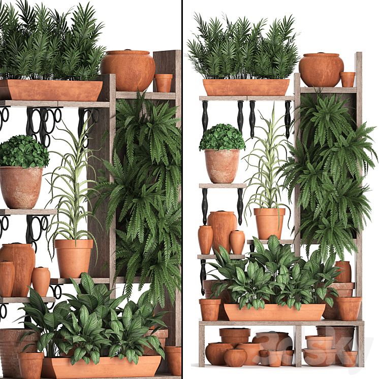 Plant Collection 366. Plant shelf fern flowerpot greenery vertical garden clay pot aloe clinker vertical garden phytowall 3DS Max - thumbnail 1