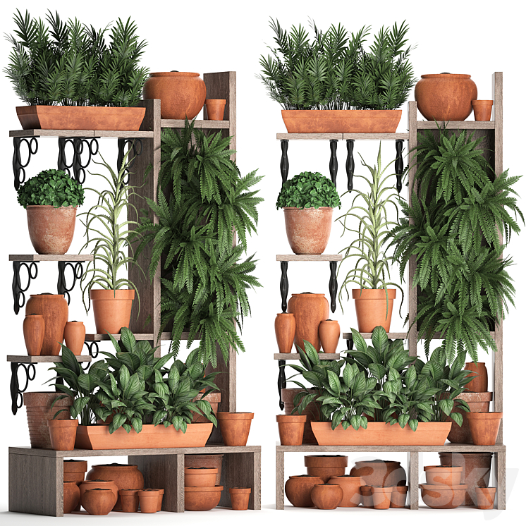 Plant Collection 366. Plant shelf fern flowerpot greenery vertical garden clay pot aloe clinker vertical garden phytowall 3DS Max - thumbnail 2