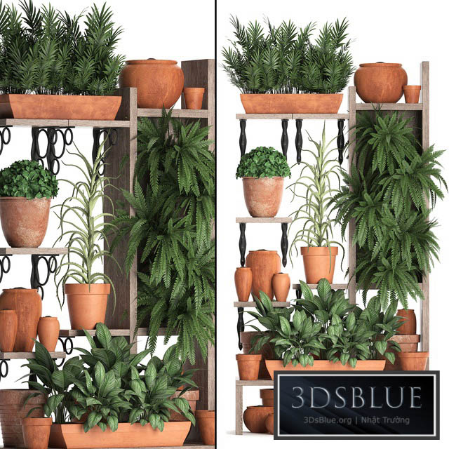 Plant Collection 366. Plant shelf fern flowerpot greenery vertical garden clay pot aloe clinker vertical garden phytowall 3DS Max - thumbnail 3