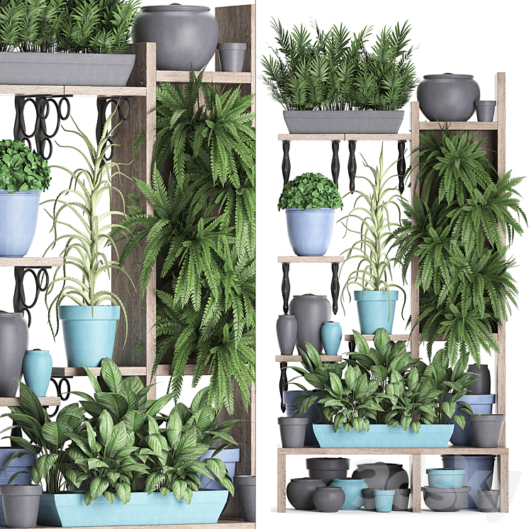 Plant Collection 367. Shelf with plants fern flowerpot greenery vertical garden phytowall phytomodule pots eco design 3DS Max - thumbnail 1