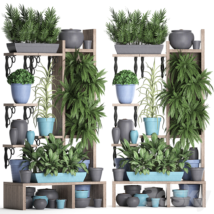 Plant Collection 367. Shelf with plants fern flowerpot greenery vertical garden phytowall phytomodule pots eco design 3DS Max - thumbnail 2