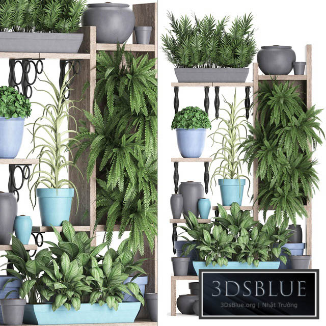 Plant Collection 367. Shelf with plants fern flowerpot greenery vertical garden phytowall phytomodule pots eco design 3DS Max - thumbnail 3