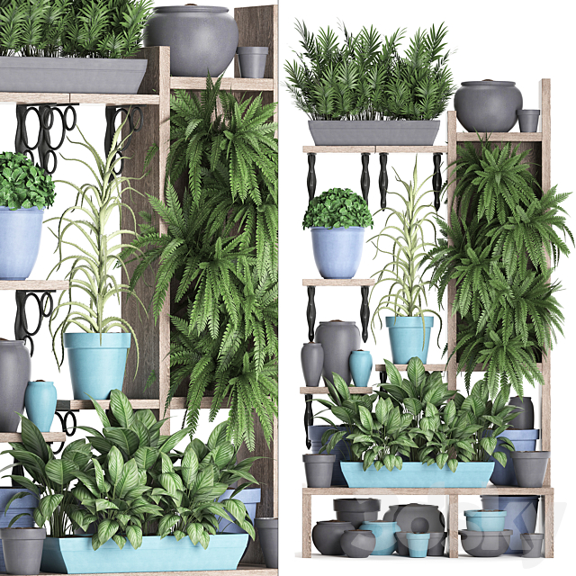 Plant Collection 367. Shelf with plants. fern. flowerpot. greenery. vertical garden. phytowall. phytomodule. pots. eco design 3DSMax File - thumbnail 1