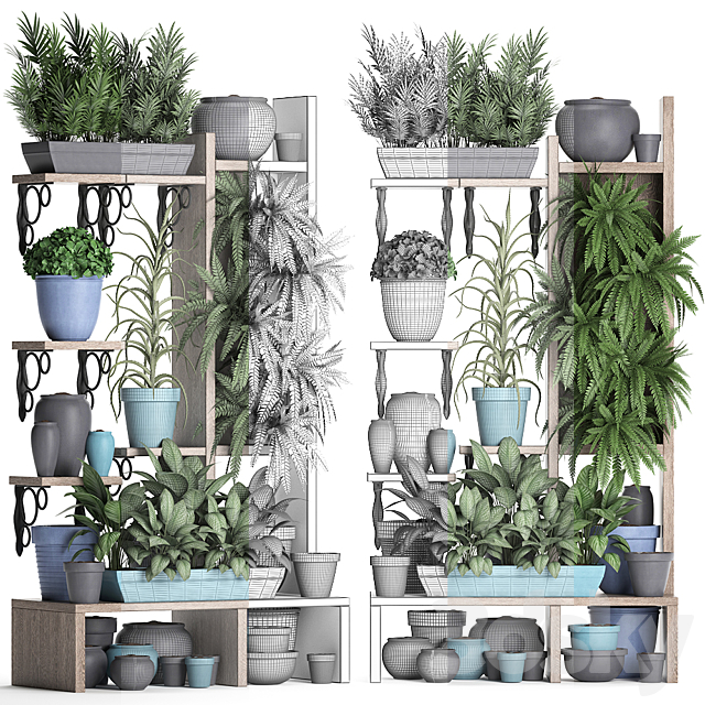 Plant Collection 367. Shelf with plants. fern. flowerpot. greenery. vertical garden. phytowall. phytomodule. pots. eco design 3DSMax File - thumbnail 3