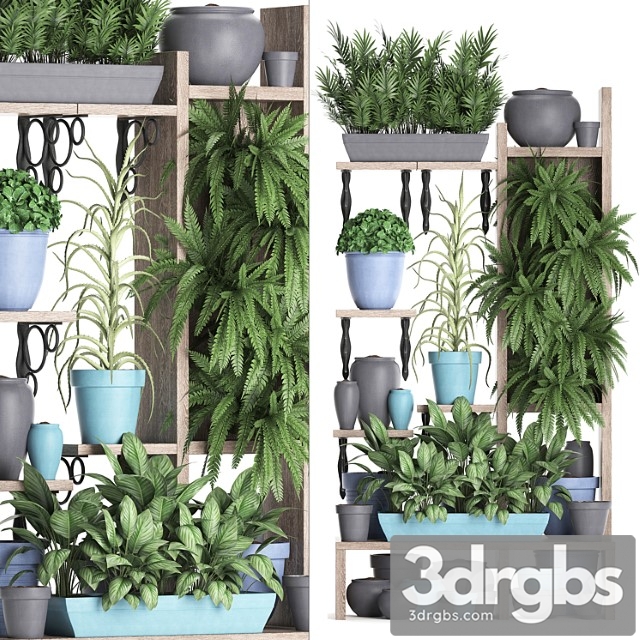 Plant collection 367. shelf with plants, fern, flowerpot, greenery, vertical garden, phytowall, phytomodule, pots, eco design - thumbnail 1