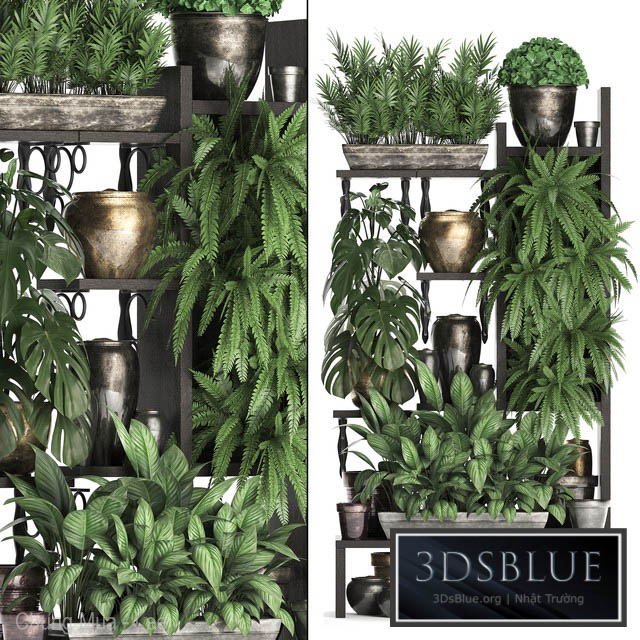 Plant Collection 368. Flower shelf fern monstera flowerpot greenery vertical garden phytowall phytomodule pots eco design 3DS Max - thumbnail 3