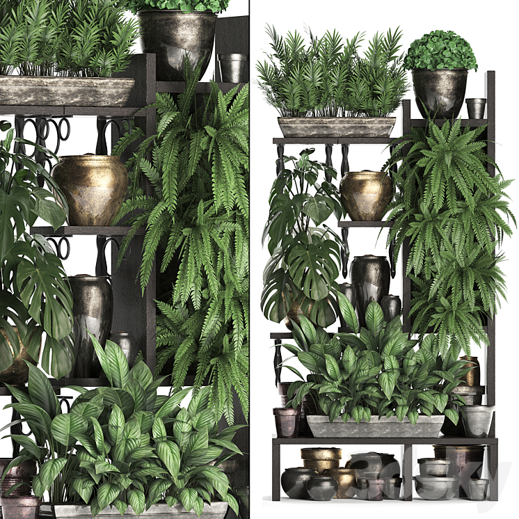 Plant Collection 368. Flower shelf fern monstera flowerpot greenery vertical garden phytowall phytomodule pots eco design 3DS Max - thumbnail 1