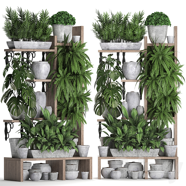 Plant Collection 369. Shelf with flowers fern flowerpot greenery vertical garden concrete pot phytowall phytomodule pots eco design Areca palm 3ds Max - thumbnail 1