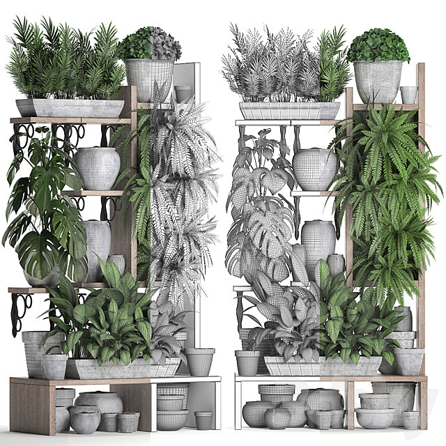 Plant Collection 369. Shelf with flowers fern flowerpot greenery vertical garden concrete pot phytowall phytomodule pots eco design Areca palm 3ds Max - thumbnail 3