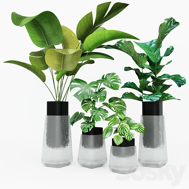 Plant collection 3DSMax File - thumbnail 1