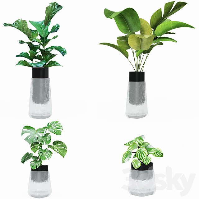 Plant collection 3DSMax File - thumbnail 2