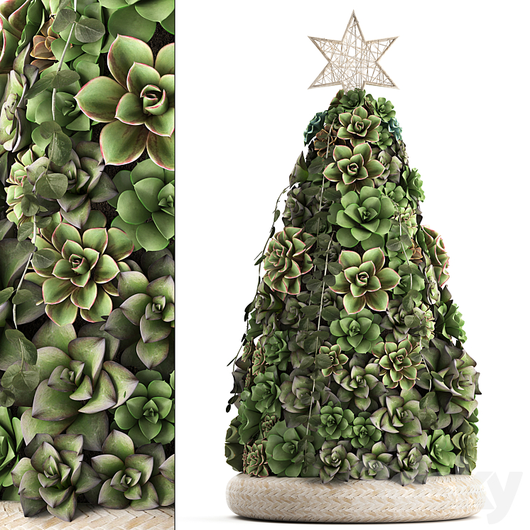 Plant Collection 420. succulents Christmas tree cake Echeveria 3DS Max - thumbnail 1