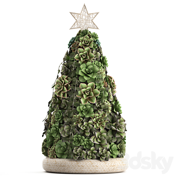 Plant Collection 420. succulents Christmas tree cake Echeveria 3DS Max - thumbnail 2