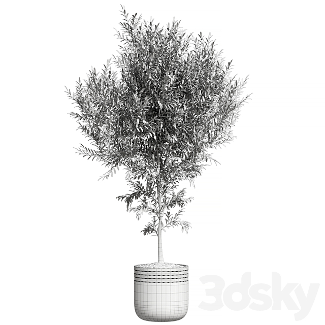 Plant Collection 82 3DS Max Model - thumbnail 2