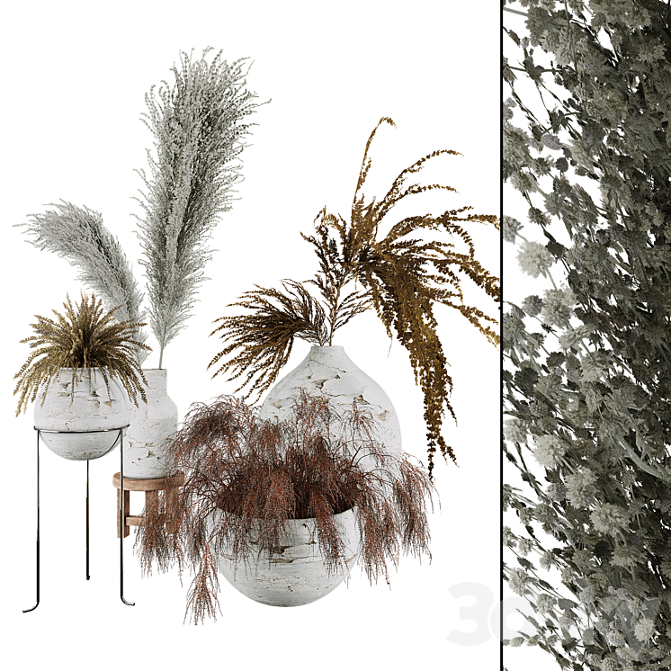 Plant Collection Set 01 3DS Max Model - thumbnail 1