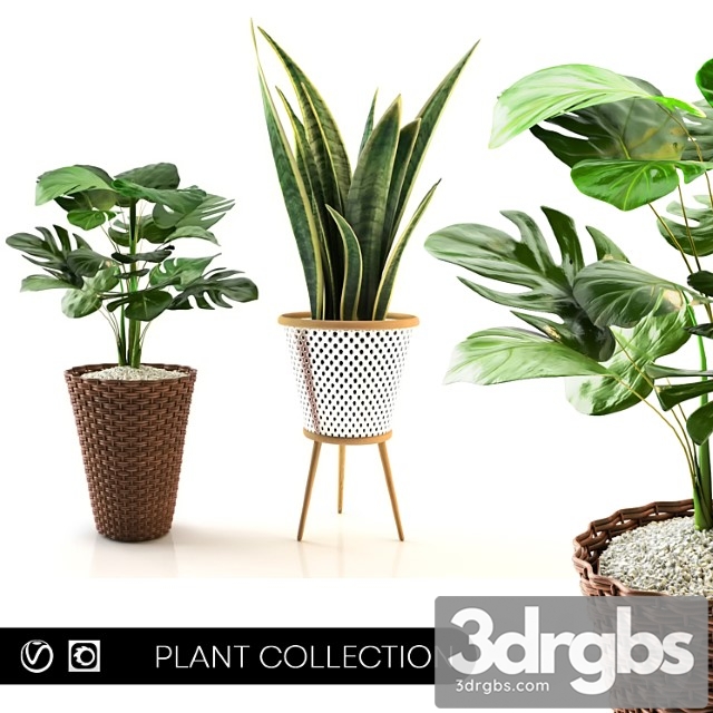 Plant collection Set 02 - thumbnail 1