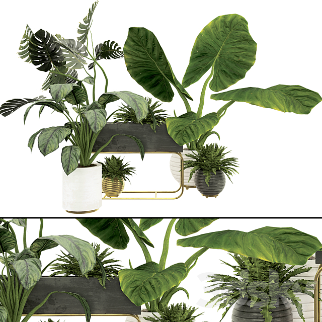 Plant Collection Set 07 3ds Max - thumbnail 1