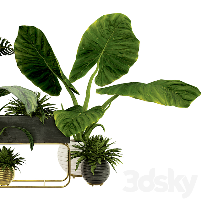 Plant Collection Set 07 3ds Max - thumbnail 3