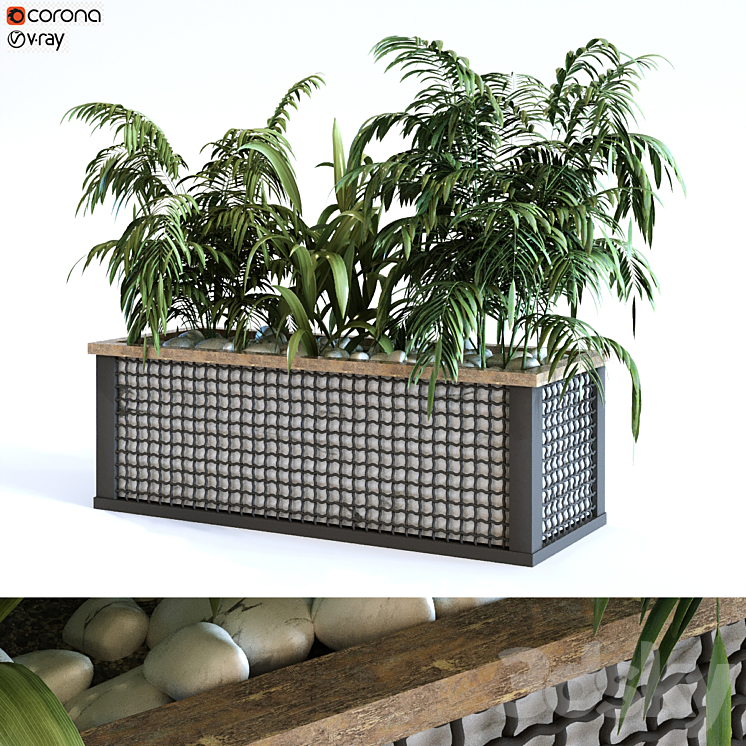 plant in box set 110 3DS Max - thumbnail 1