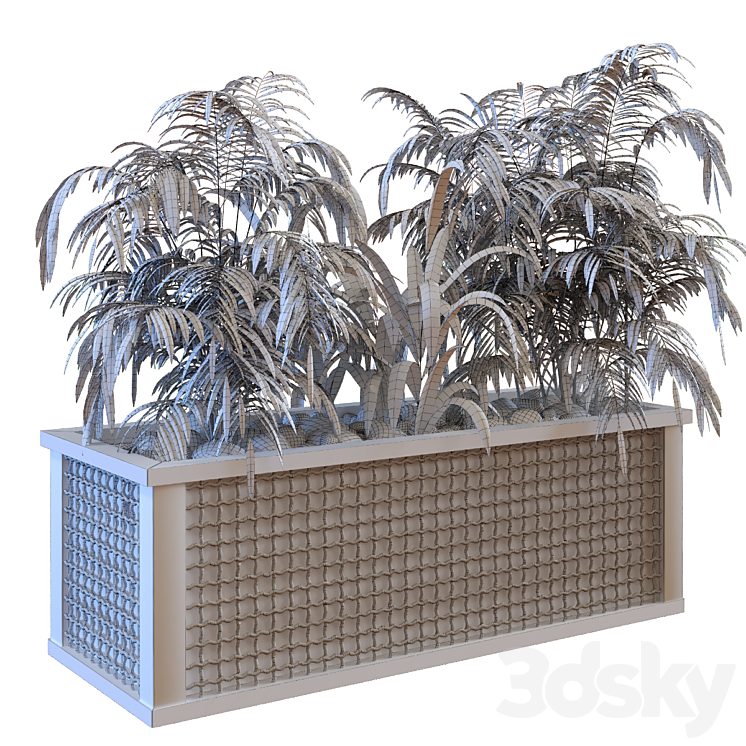 plant in box set 110 3DS Max - thumbnail 2