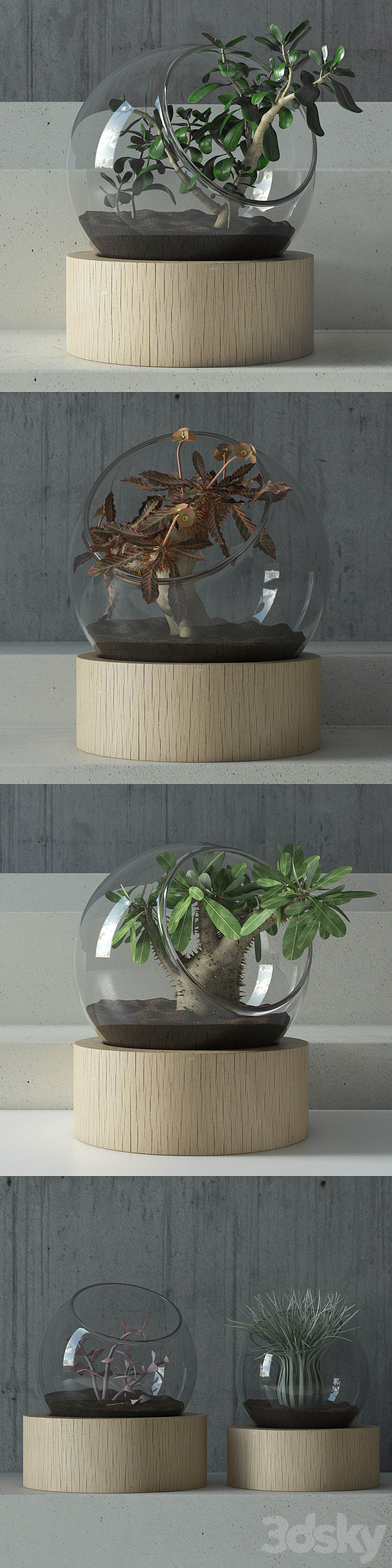 plant in glass 3DS Max - thumbnail 2