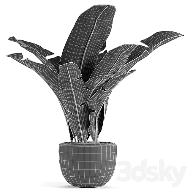 Plant in Pot Flowerpot Exotic Plant 3ds Max - thumbnail 3