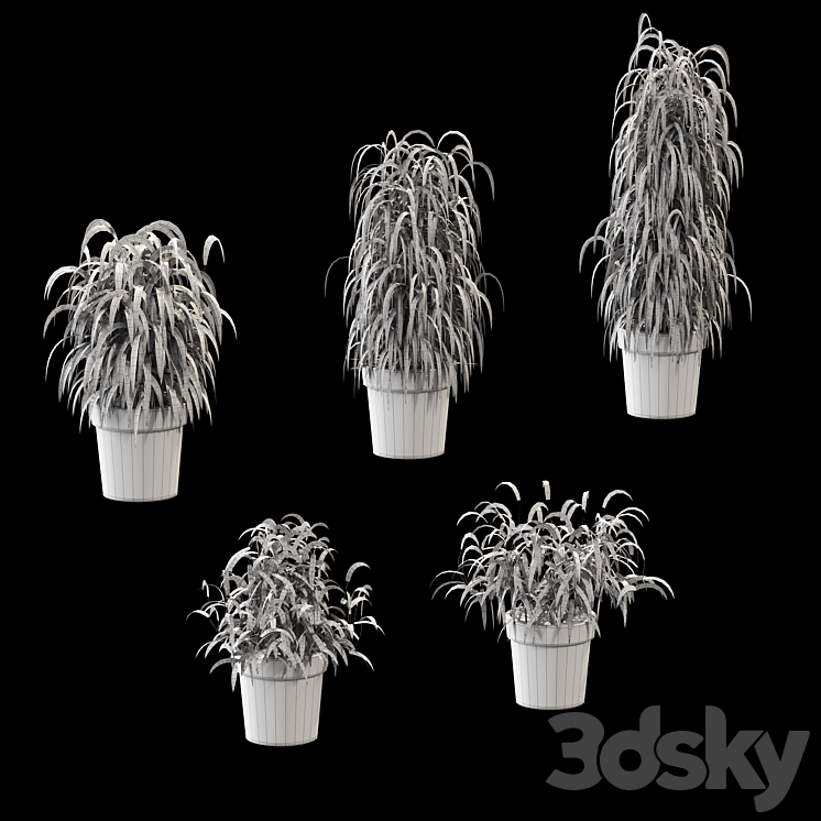 Plant in the pot. 5 models 3DS Max - thumbnail 2