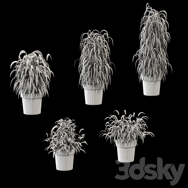 Plant in the pot. 5 models 3DSMax File - thumbnail 2