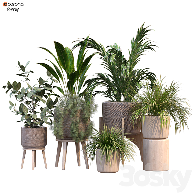 plant in vase collection set 214 3ds Max - thumbnail 1