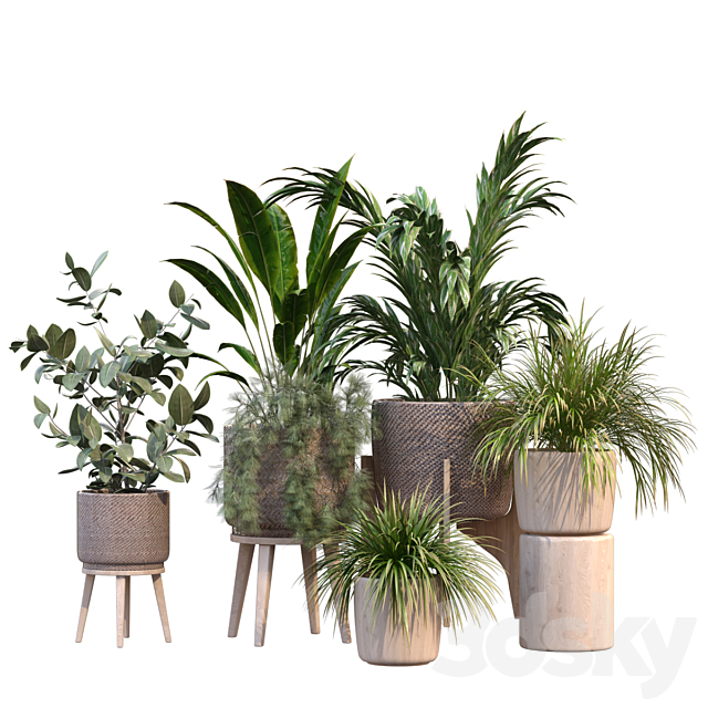 plant in vase collection set 214 3ds Max - thumbnail 2