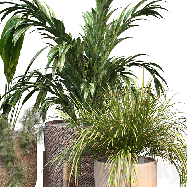 plant in vase collection set 214 3ds Max - thumbnail 3