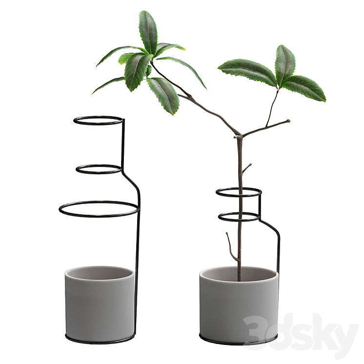 Plant in wire pots 3DS Max - thumbnail 1