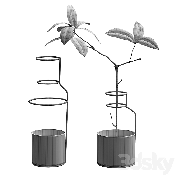 Plant in wire pots 3DS Max - thumbnail 2