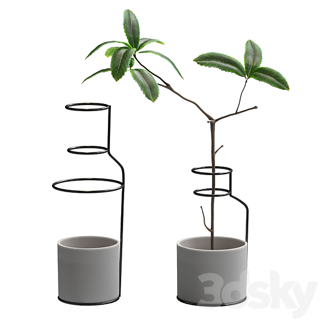 Plant in wire pots 3DSMax File - thumbnail 1